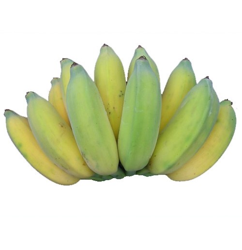Banana - Poovan Pazham (will ripen in 1-2 days)